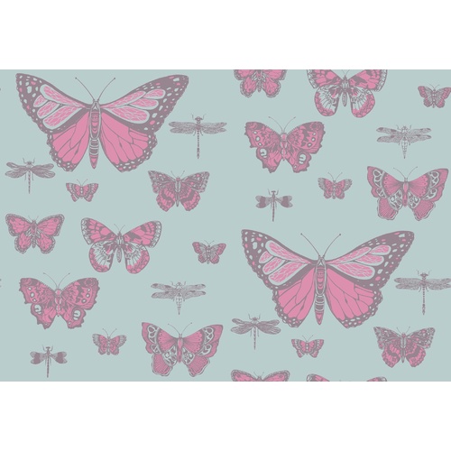 Butterflies & Dragonflies | 103-15062