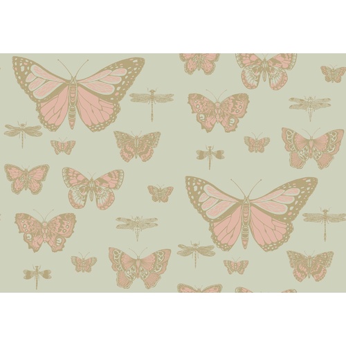 Butterflies & Dragonflies | 103-15063