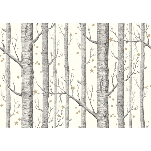 Woods & Stars | 103-11050