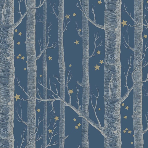 Woods & Stars | 103-11052
