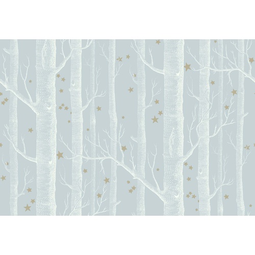 Woods & Stars | 103-11051