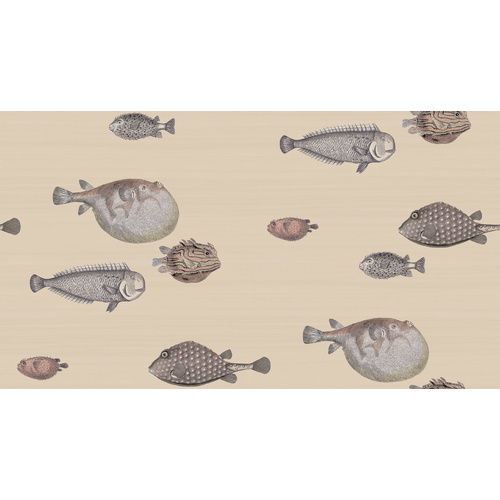 Acquario | 114-16033