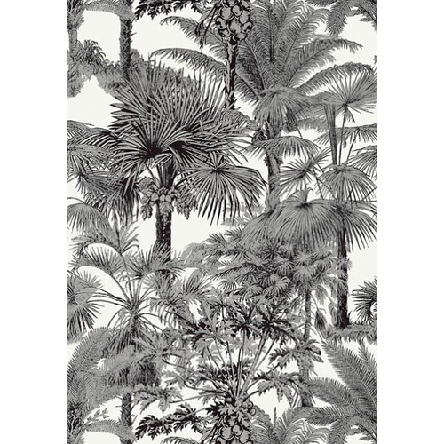 Palm Botanical | T10102