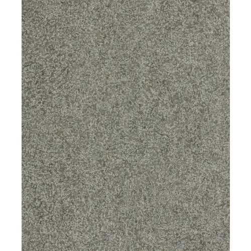 Shagreen | 312907