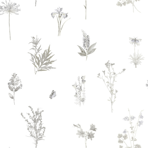 Evergreen | 7341