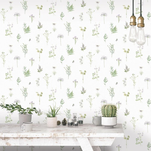 Evergreen | 7342