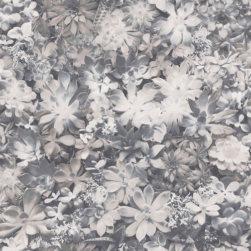 Evergreen | 7321