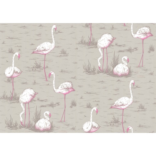 Flamingos | 66-6042