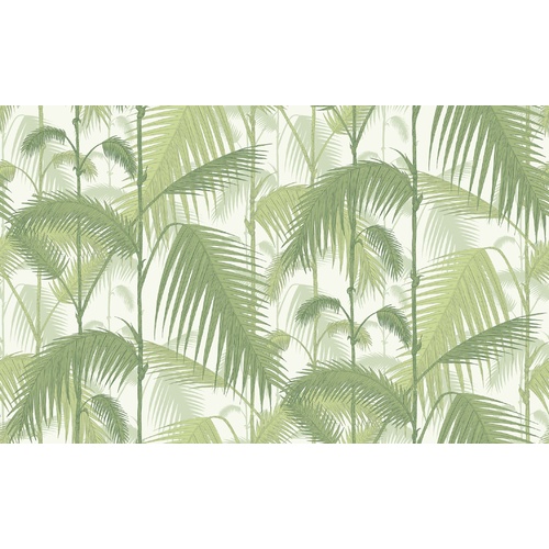 Palm Jungle | 95-1001