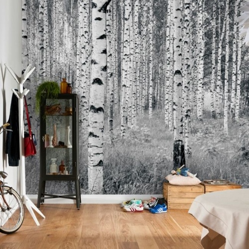 Mural | Woods XXL4-023 - Silver Birch Trees