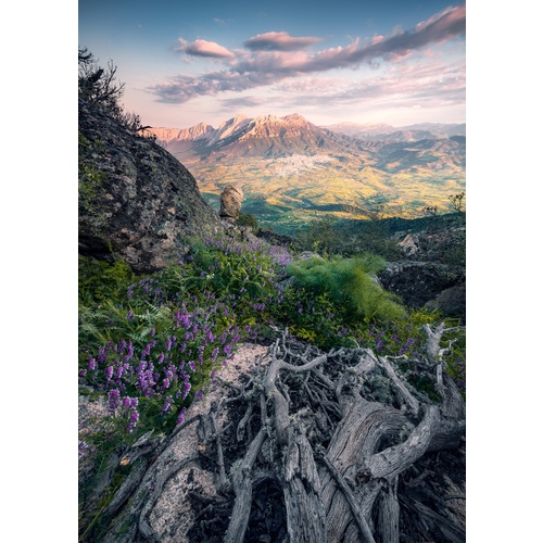 Mural | Flowering Tales | SHX4-130 | Heather Hillside