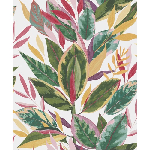 Ficus | Tropical Leaf Wallpaper