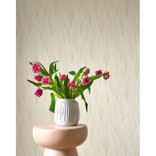 Sansevieria | Leaf Texture Wallpaper