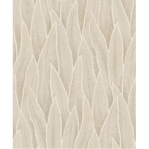 Sansevieria | Leaf Texture Wallpaper