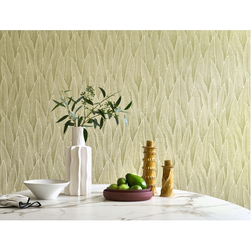 Sansevieria | Leaf Texture Wallpaper