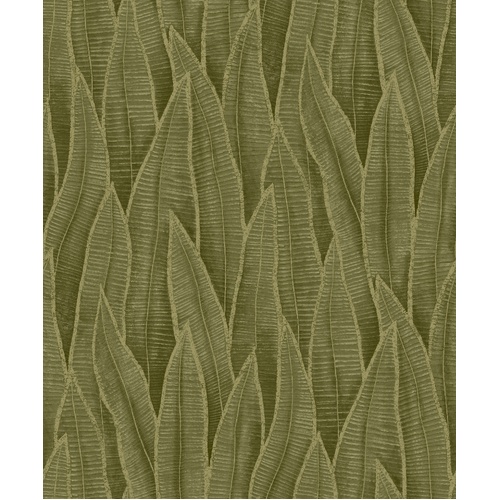 Sansevieria | Leaf Texture Wallpaper