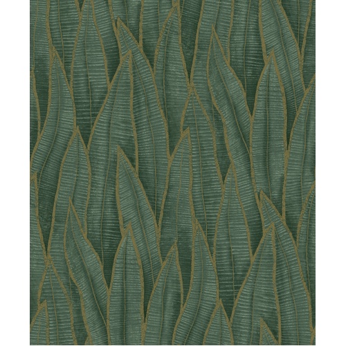 Sansevieria | Leaf Texture Wallpaper