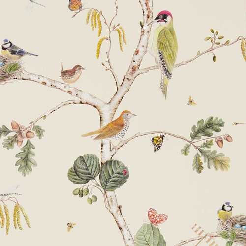 Woodland Chorus | Perched Birds Wallpaper