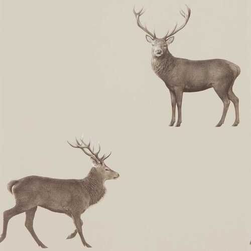 Evesham Deer | Standing Deer Wallpaper