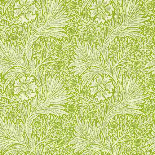 Marigold | Intricate Flower Wallpaper