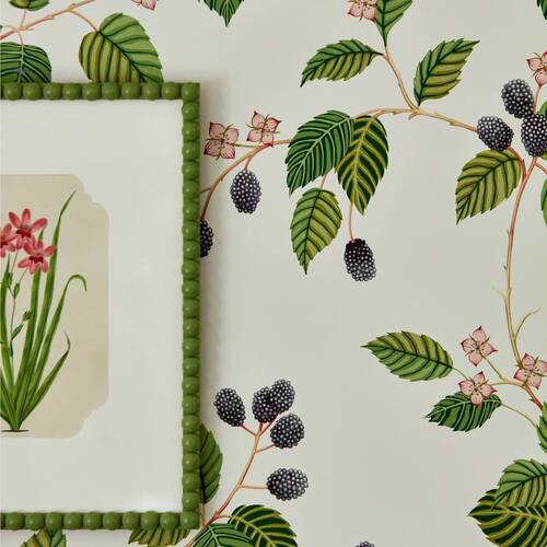 Rubus | Delicate Berries Wallpaper