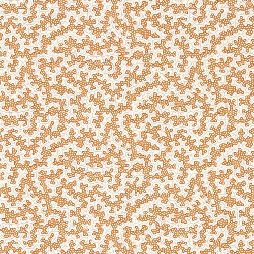 Truffle | Swirling Dots Wallpaper