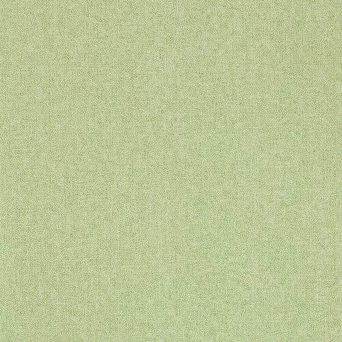 Sessile Plain | Tiny Dots Wallpaper