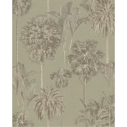 Oasis | 317324 -  Exotic Palm