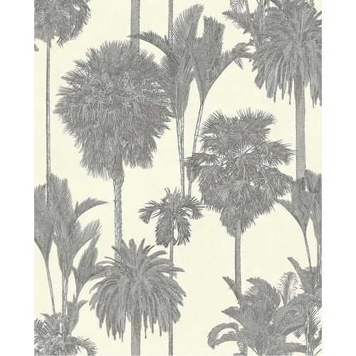 Oasis | 317326 -  Exotic Palm