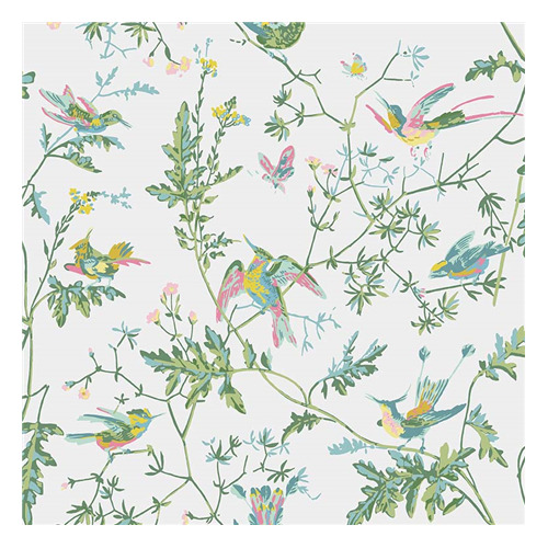 Hummingbirds | 112/4015