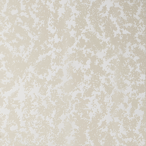 Stucco | White Pearl on Milk