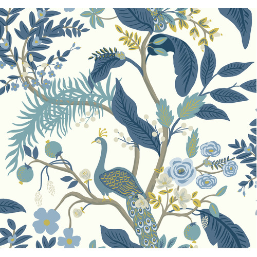 Peacock | Tropical Blue & White