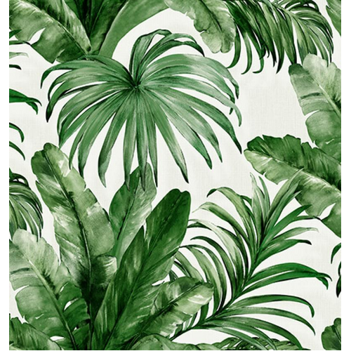 Palm Leaves | WPS004 - Tropical wallpaper - IN STOCK IN BRISBANE
