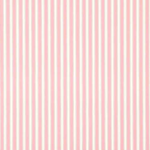New Tiger Stripe | Rose Pink