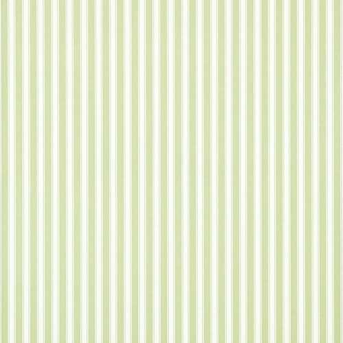 New Tiger Stripe | Soft Green