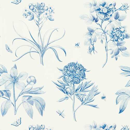 Etching & Roses | Blue Botanical