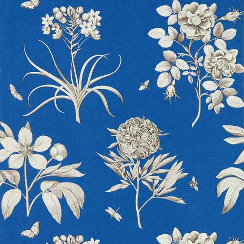 Etching & Roses | French Blue Botanical