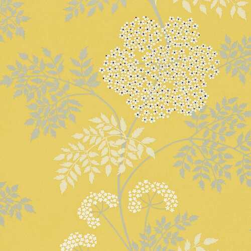 Cowparsley | Delicate Botanical | Yellow 