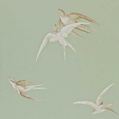 One Sixty | Swallows - Birds