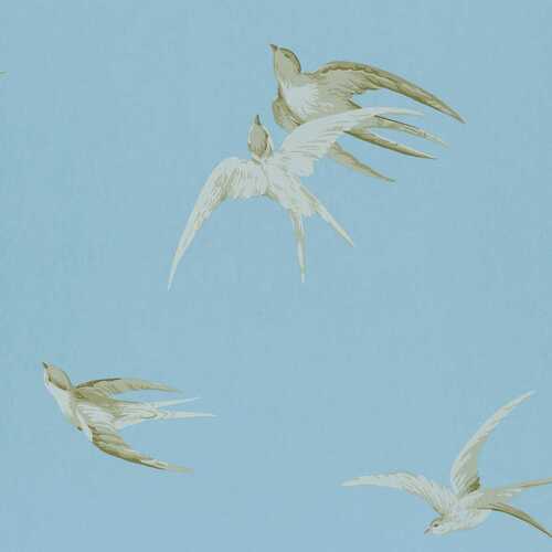 One Sixty | Swallows - Birds