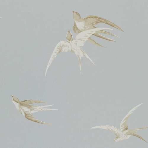 One Sixty | Swallows - Birds
