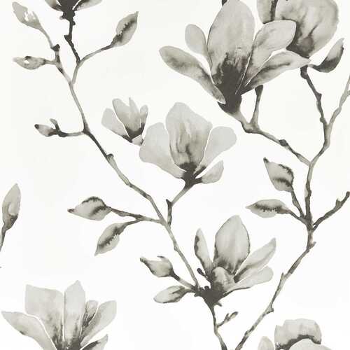 Colour 1 | Lotus Flower