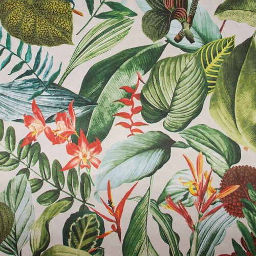 Tropical | Kiribati - Exotic Blossom