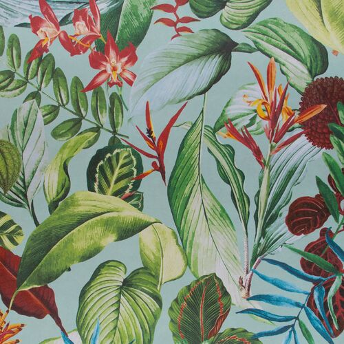 Tropical | Kiribati - Exotic Blossom