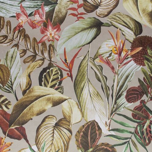 Tropical | Kiribati - Exotic Blossom