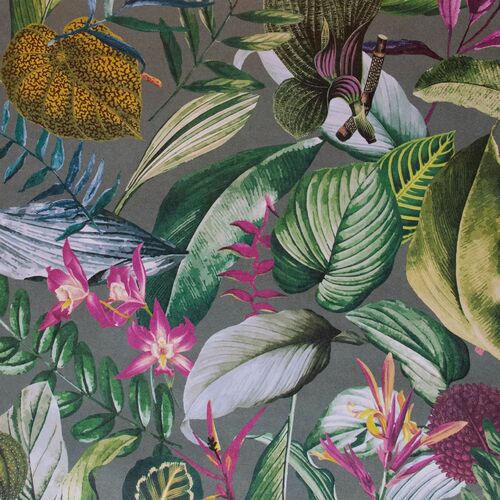 Tropical | Kiribati - Exotic Blossom