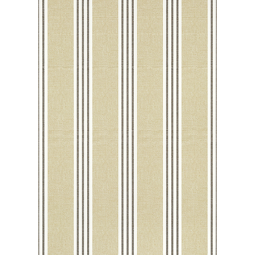 Pavilion | Canvas Stripe