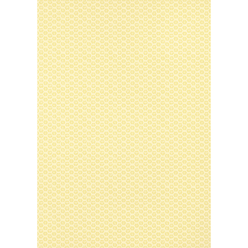 Pavilion | Akari - small print