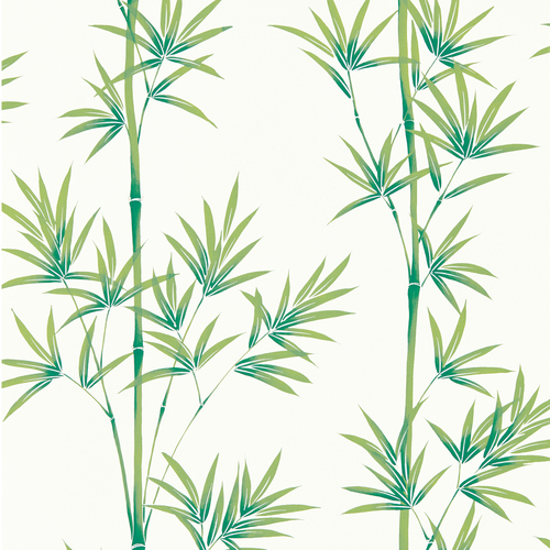Isabella | Green Bamboo