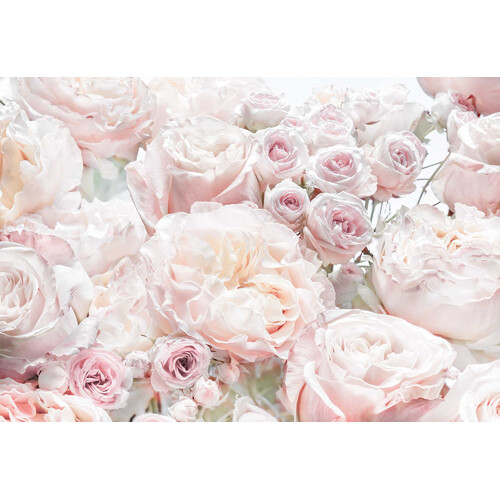 Mural | Spring Roses - Soft Pink 8-976